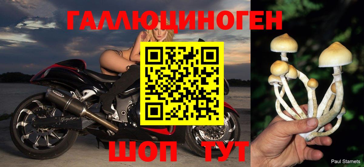 Псилоцибиновые грибы GOLDEN TEACHER Обнинск